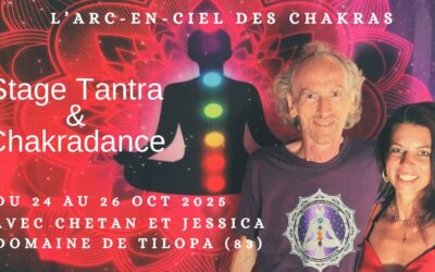 Stage Tantra et Chakradance